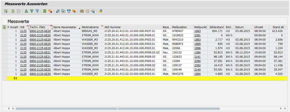 PROMOS Energiemanagement: Dynamische Liste zur Auswertung und Erfassung der Zählerstammdaten