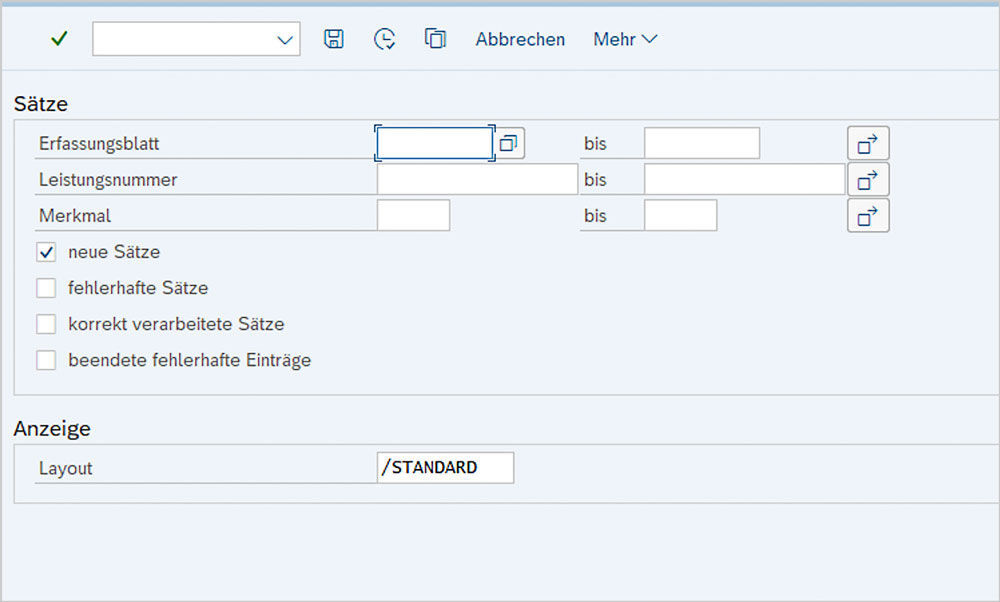 The report is operated via a simple input screen. The user can select and call up data records here based on certain criteria. Mittels einer Erfassungsmaske können alle neuen Ausstattungsmerkmale aus der HWK aufgelistet werden.